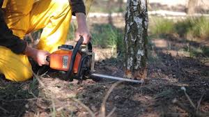 Best Soil Testing and Treatment  in Eunice, NM