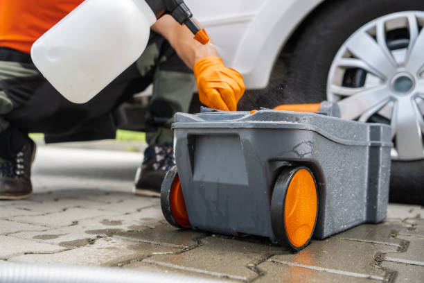 Best Tree Removal  in Eunice, NM
